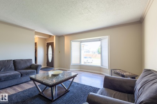 18012 96 Street, Edmonton, AB - Indoor Photo Showing Living Room