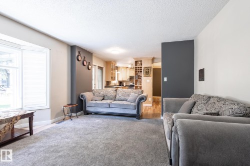 18012 96 Street, Edmonton, AB - Indoor Photo Showing Living Room