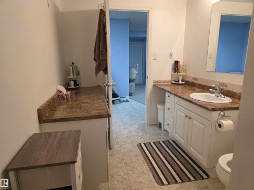 185 Willow Drive, Breton, AB - Indoor Photo Showing Bathroom