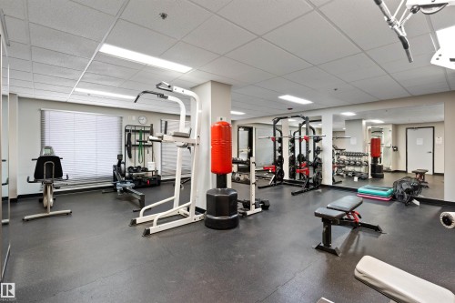 202 10116 80 Avenue, Edmonton, AB - Indoor Photo Showing Gym Room