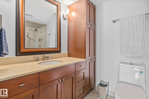 202 10010 119 Street, Edmonton, AB - Indoor Photo Showing Bathroom