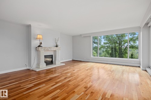 202 10010 119 Street, Edmonton, AB - Indoor Photo Showing Living Room With Fireplace