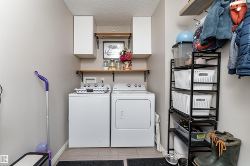 8533 Ellis Link, Edmonton, AB - Indoor Photo Showing Laundry Room