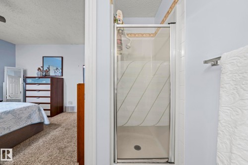 5104 191 Street, Edmonton, AB - Indoor Photo Showing Bathroom