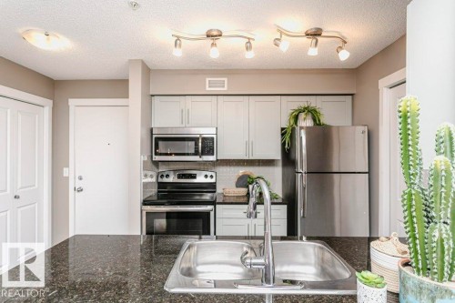 106 5816 Mullen Place, Edmonton, AB - Indoor Photo Showing Kitchen With Double Sink With Upgraded Kitchen