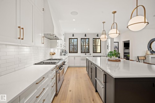 13915 104 Avenue, Edmonton, AB - Indoor Photo Showing Kitchen With Upgraded Kitchen