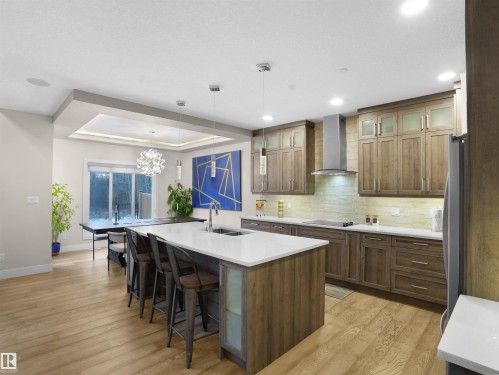 6419 175 Avenue, Edmonton, AB - Indoor Photo Showing Kitchen With Upgraded Kitchen