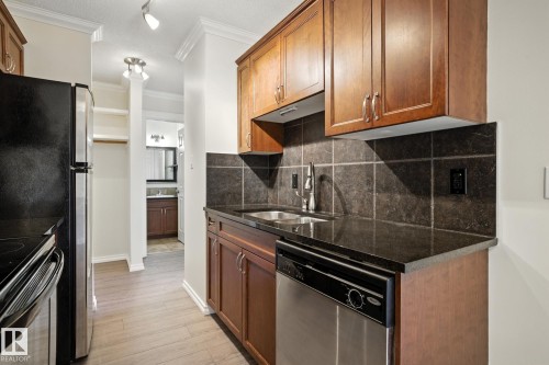306 10160 83 Avenue, Edmonton, AB - Indoor Photo Showing Kitchen With Double Sink