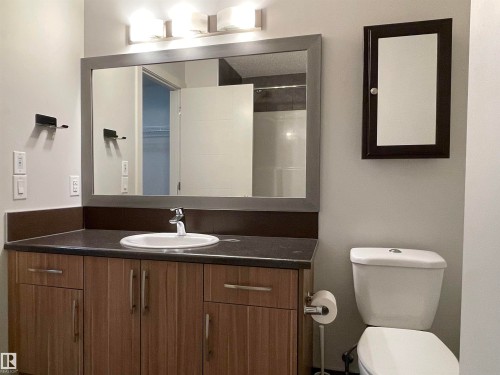 115 10523 123 Street, Edmonton, AB - Indoor Photo Showing Bathroom