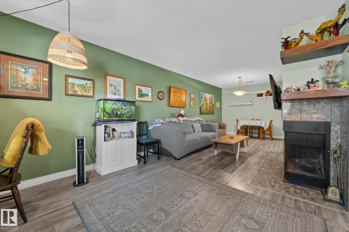 33 2204 118 Street, Edmonton, AB - Indoor Photo Showing Living Room With Fireplace
