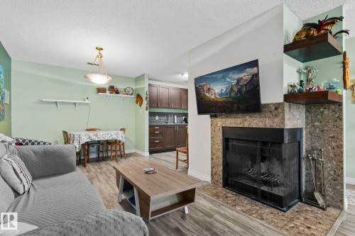 33 2204 118 Street, Edmonton, AB - Indoor Photo Showing Living Room With Fireplace