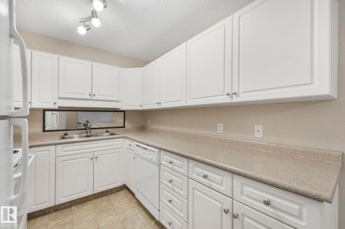216 13625 34 Street, Edmonton, AB - Indoor Photo Showing Kitchen With Double Sink