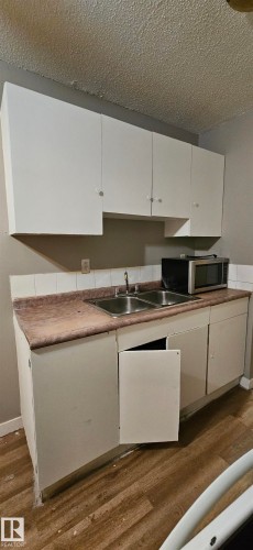 108 3720 118 Avenue, Edmonton, AB - Indoor Photo Showing Kitchen With Double Sink