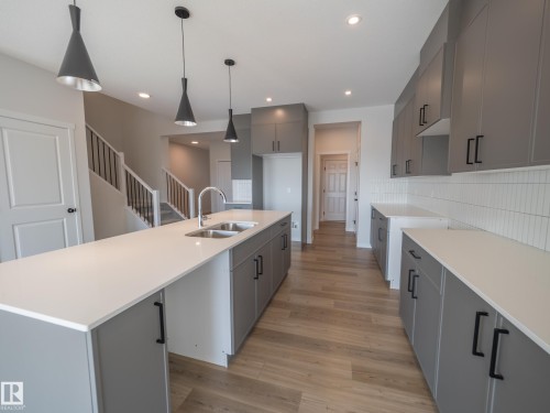 312 173 Avenue, Edmonton, AB - Indoor Photo Showing Kitchen With Double Sink With Upgraded Kitchen