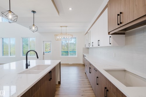 21112 26 Avenue, Edmonton, AB - Indoor Photo Showing Kitchen With Double Sink With Upgraded Kitchen