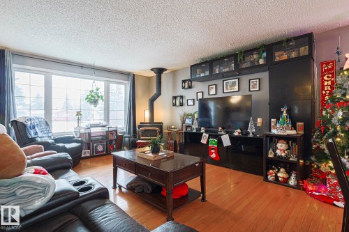 4032 77 Street, Edmonton, AB - Indoor Photo Showing Living Room