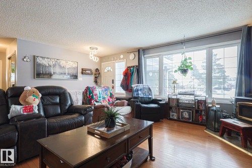 4032 77 Street, Edmonton, AB - Indoor Photo Showing Living Room