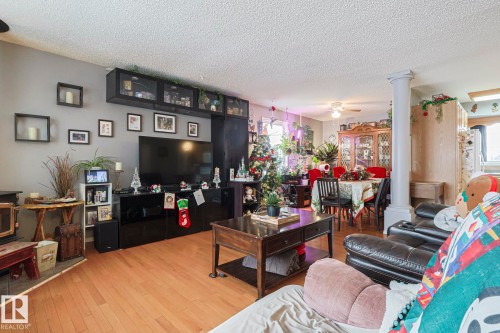 4032 77 Street, Edmonton, AB - Indoor Photo Showing Living Room