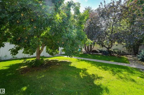 10615 134 Street, Edmonton, AB - Outdoor