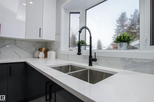 18616 66 Avenue, Edmonton, AB - Indoor Photo Showing Kitchen With Double Sink
