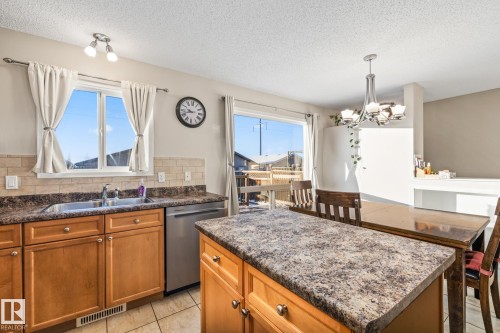 3913 159 Avenue, Edmonton, AB - Indoor Photo Showing Kitchen With Double Sink