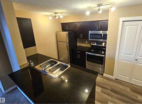 313 1510 Watt Drive, Edmonton, AB - Indoor Photo Showing Kitchen With Stainless Steel Kitchen With Double Sink