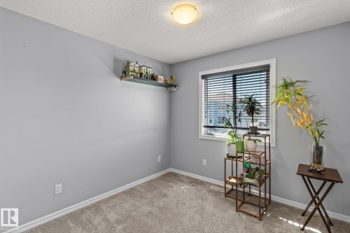 219 42 Avenue, Edmonton, AB - Indoor Photo Showing Other Room