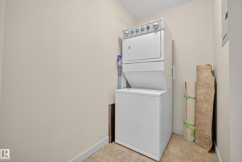 343 11505 Ellerslie Road, Edmonton, AB - Indoor Photo Showing Laundry Room