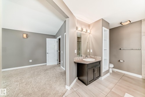3620 167B Avenue, Edmonton, AB - Indoor Photo Showing Bathroom