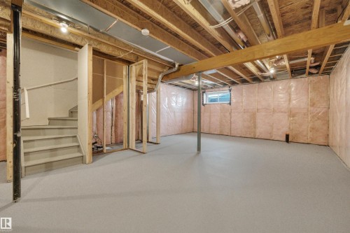 22556 87 Avenue, Edmonton, AB - Indoor Photo Showing Basement