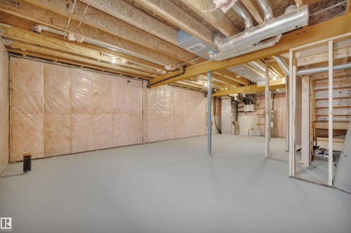 22556 87 Avenue, Edmonton, AB - Indoor Photo Showing Basement