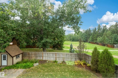 103 Wolf Willow Crescent, Edmonton, AB - Outdoor With Backyard