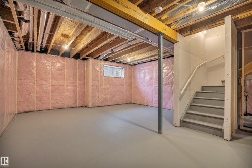 304 Juniper Cove, Leduc, AB - Indoor Photo Showing Basement