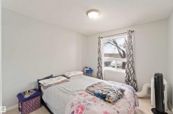 Carpeted bedroom with a textured ceiling - 