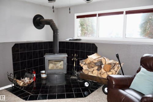 Detailed view of carpet flooring, a wood stove, and a ceiling fan - 4505 58 Avenue, Barrhead, AB - Indoor