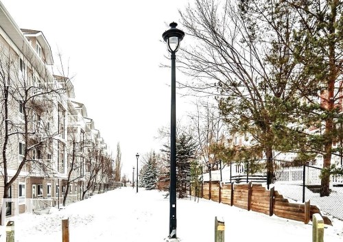 223 5350 199 Street, Edmonton, AB - Outdoor