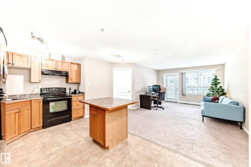 223 5350 199 Street, Edmonton, AB - Indoor Photo Showing Kitchen