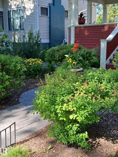 10828 125 Street, Edmonton, AB - Outdoor