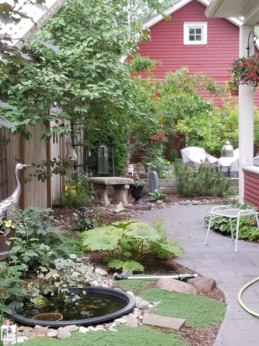 10828 125 Street, Edmonton, AB - Outdoor