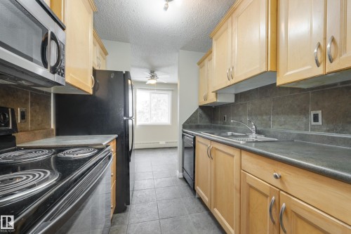 205 11019 107 Street, Edmonton, AB - Indoor Photo Showing Kitchen With Double Sink