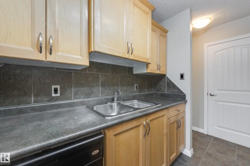 205 11019 107 Street, Edmonton, AB - Indoor Photo Showing Kitchen With Double Sink