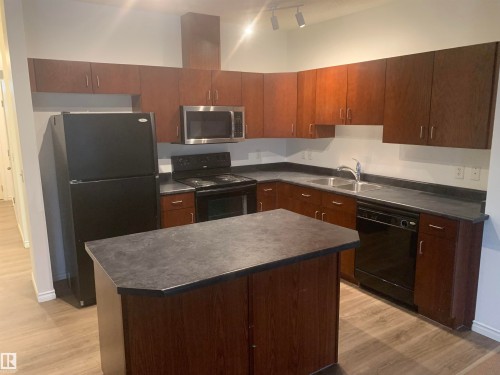 102 3010 33 Avenue, Edmonton, AB - Indoor Photo Showing Kitchen With Double Sink