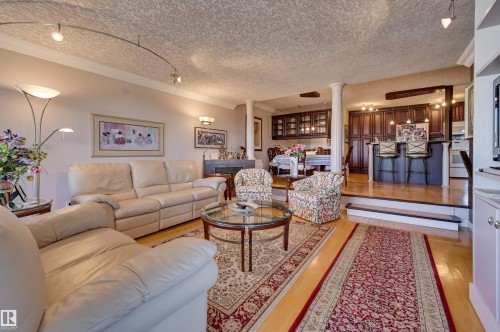 1102 11503 100 Avenue, Edmonton, AB - Indoor Photo Showing Living Room