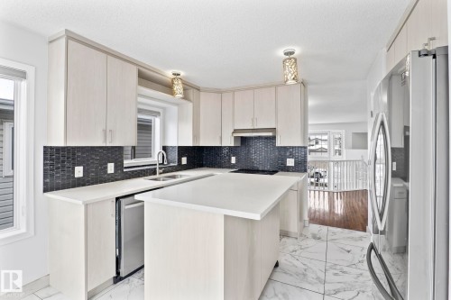 1204 Kane Wynd, Edmonton, AB - Indoor Photo Showing Kitchen With Double Sink