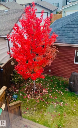 5213 2A Avenue, Edmonton, AB - Outdoor