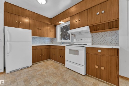 16111 109 Avenue, Edmonton, AB - Indoor Photo Showing Kitchen
