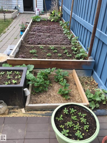 1098 Grantham Dr, Edmonton, AB - Outdoor