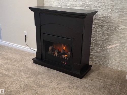61 52349 Rge Road 233, Rural Strathcona County, AB - Indoor Photo Showing Living Room With Fireplace