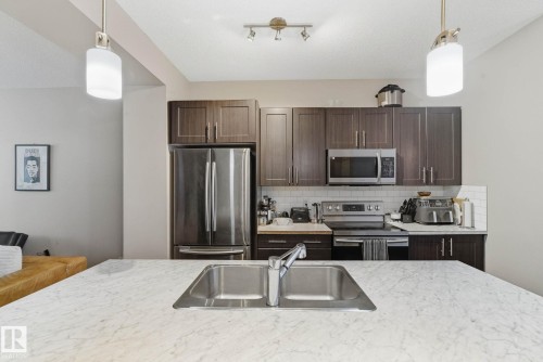 5048 Andison Close, Edmonton, AB - Indoor Photo Showing Kitchen With Double Sink