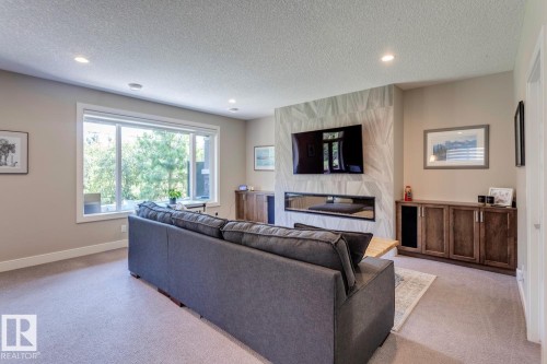 19 20425 93 Avenue, Edmonton, AB - Indoor Photo Showing Living Room With Fireplace